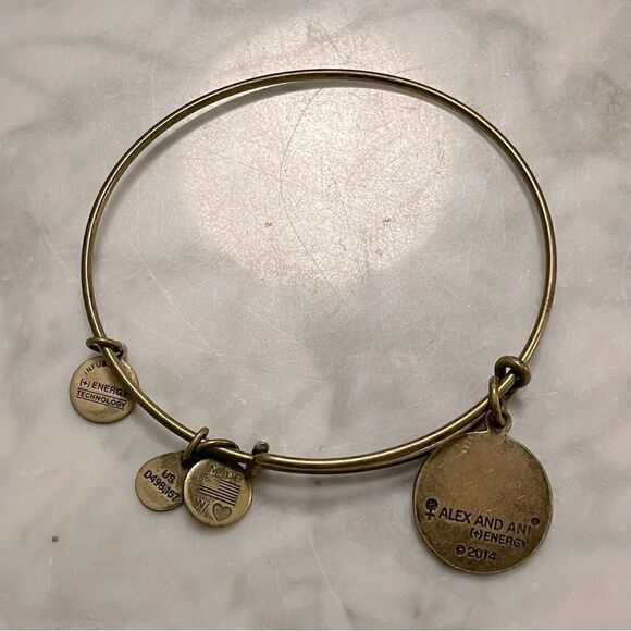 Alex and Ani Path of Life Bracelet - Picture 5 of 5